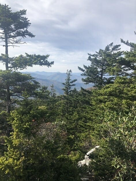 Blue Ridge Mountains - Pisgah National Forest