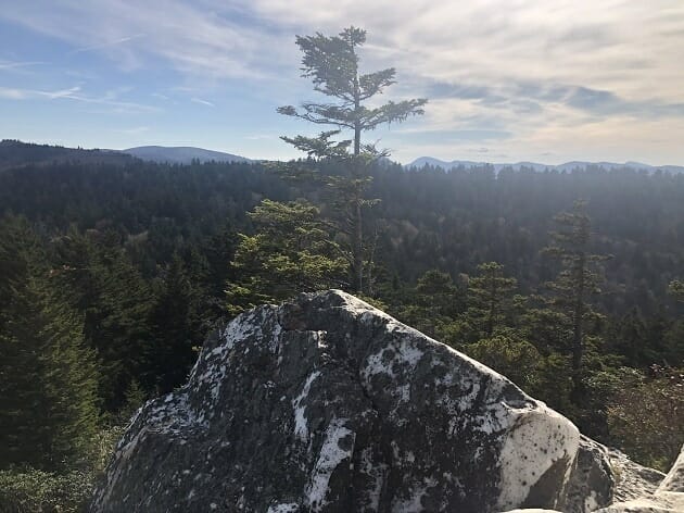 Shining Rock - Pisgah National Forest - Pisgah Adventure