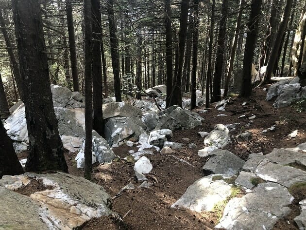 Shining Rock - View From Trail - Pisgah National Forest