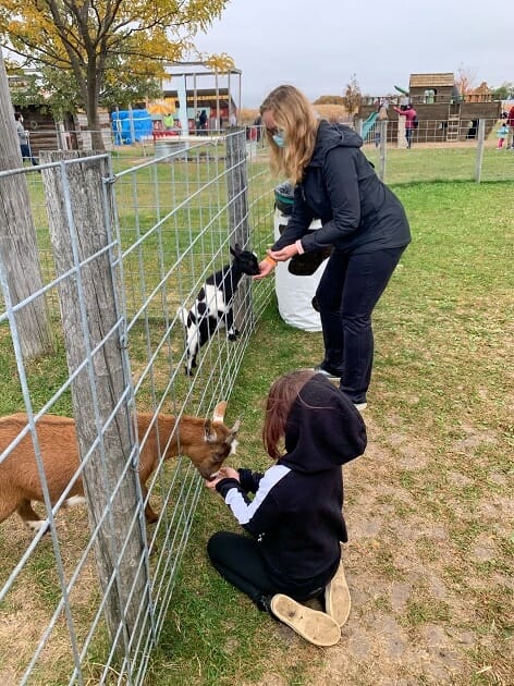 Schuster's Farm Wisconsin - Feeding Animals