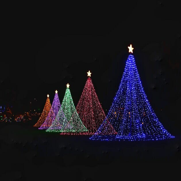 mario-mendez-holiday lights - trees