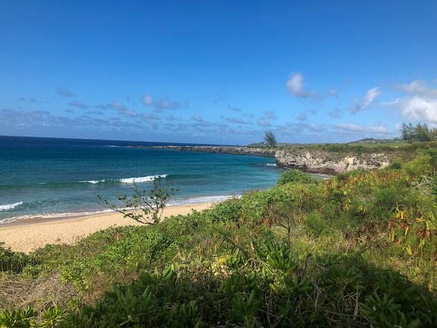 Hawaii Beach - Ocean and jetty with lush green plants along the water. 