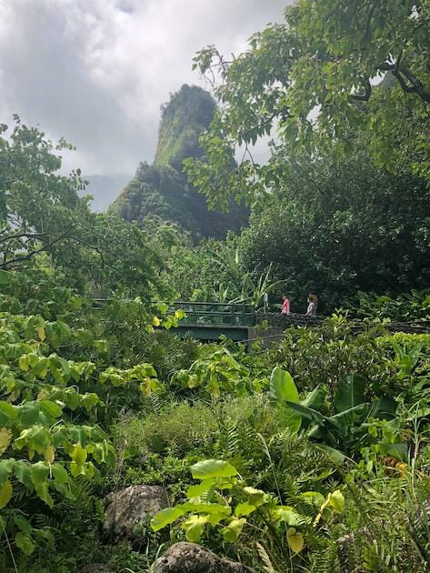 Iao Valley - Maui