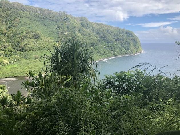 Road to Hana - Drive - Ocean surrounded by green hillside and trees. 