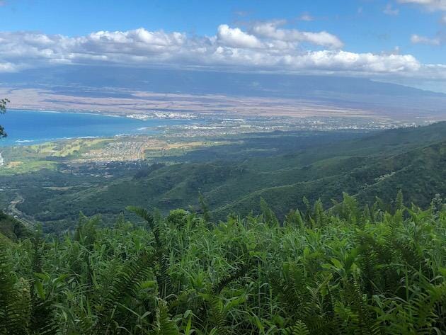 Waihee Ridge Trail View - Maui