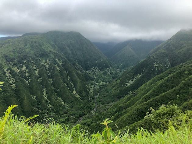 Waihee Ridge Trail View