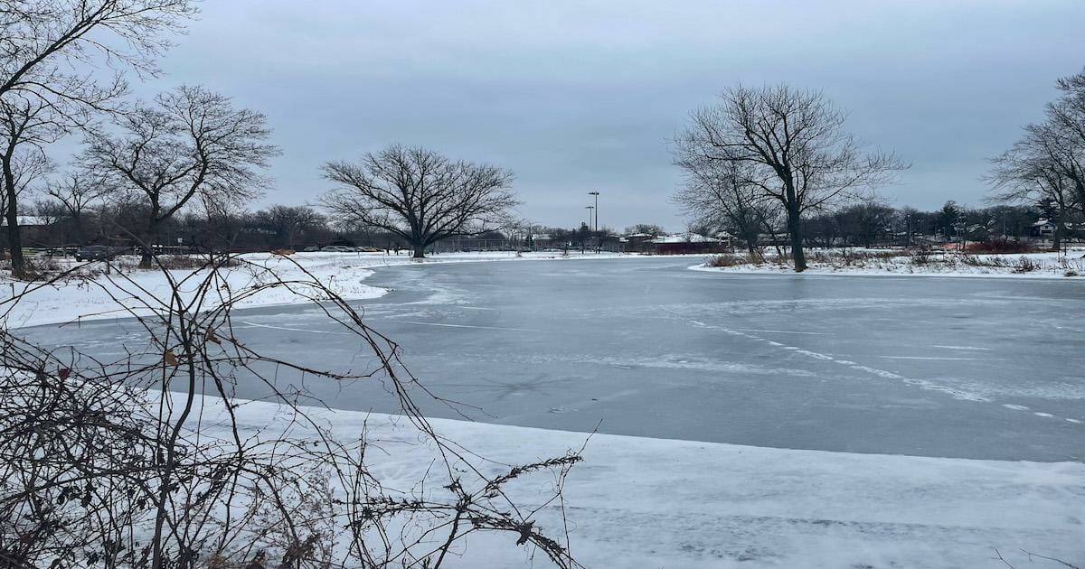 Frozen Lake - Tenney Park