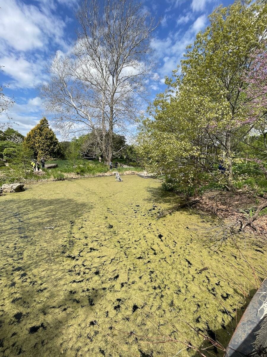 Olbrich Gardens - Madison