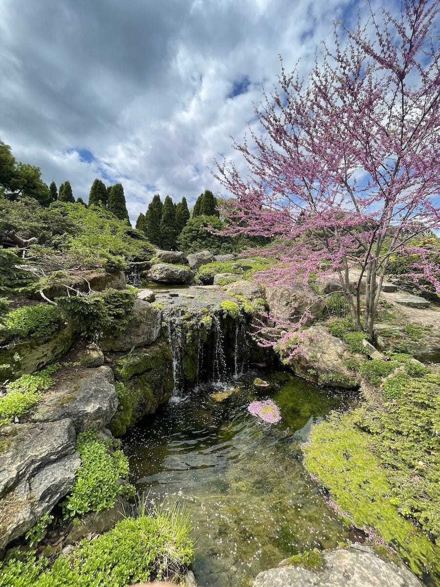 Olbrich Gardens - Madison, WI