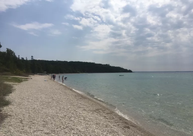 Beach Bag Essentials - Sandy beach surrounding by light blue water with a line of trees in the background.