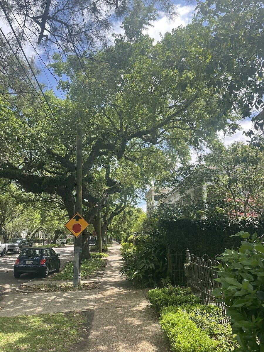 Honest Review of New Orleans - Garden District Streetview
