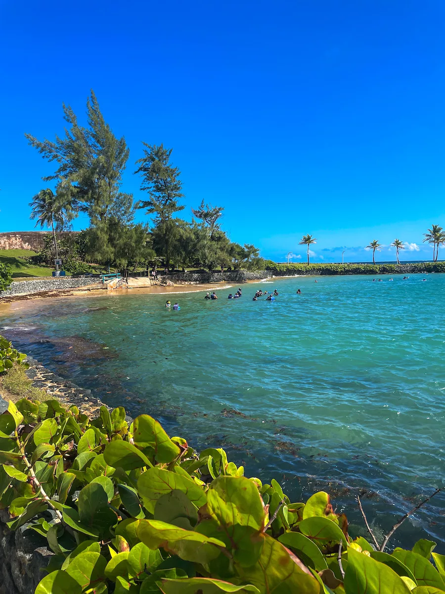 Turquoise water surrounded by green foliage. Swimmers in the water 