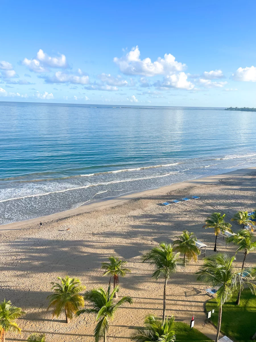 View of ocean, sandy beach, palm trees, and chairs from a hotel room at Courtyard Isla Verde Beach Resort. 