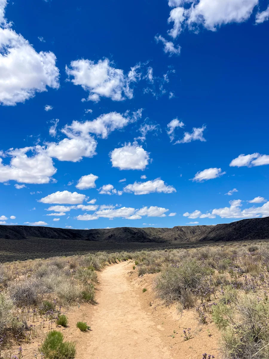 One Day in Albuquerque - Petroglyph National Monument Trail view with blue skies and clouds surrounded by mountains and shrubs. 