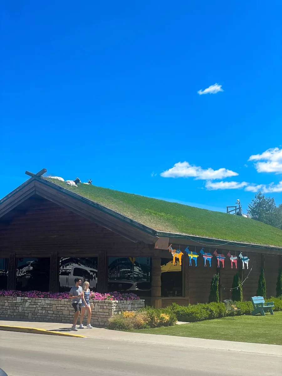 Goats on a sod roof of a building in Door County