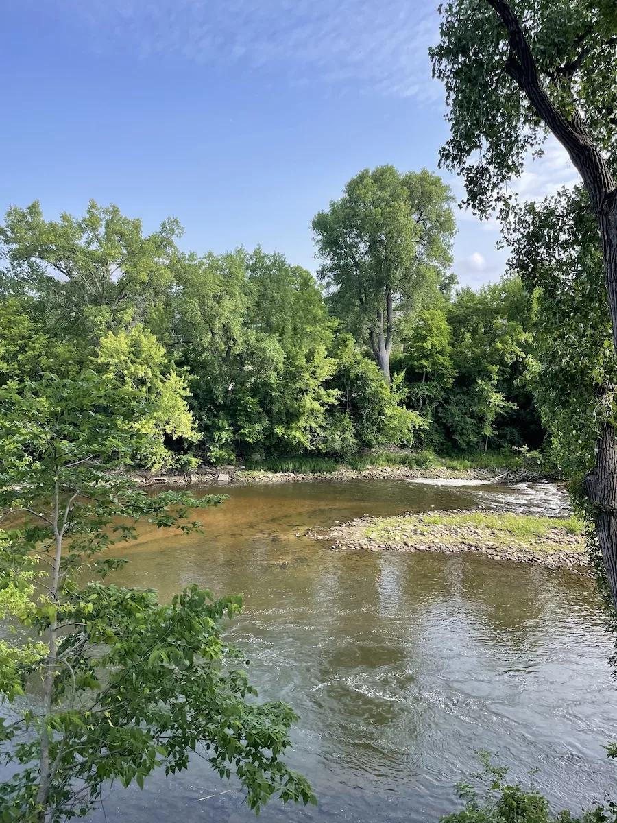 Outdoor Activities in Eau Claire - Mucky river surrounded by trees and a light blue sky. 