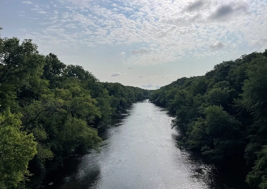 View of river surrounded by thick green trees and a cloudy blue sky. 