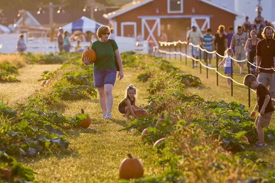 Lady walking with pumpkin and child searching for a pumpkin at a farm in Springfield, Missouri. Farm filled with visitors is in the background. 