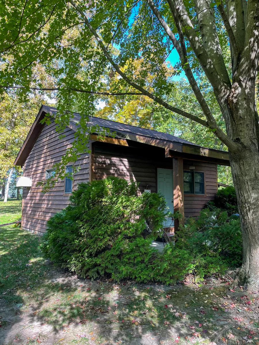 Small dark brown cabin surrounded by trees and bushes at Hickory Hideaway Cabins