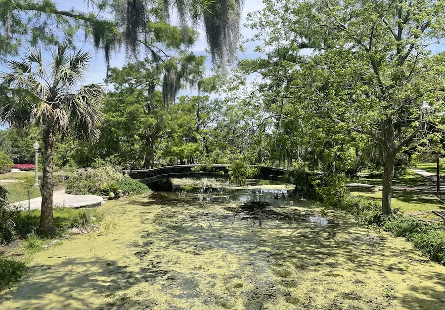 City Park in New Orleans with view of body of water and small bridge surrounded by green trees and walkways. 