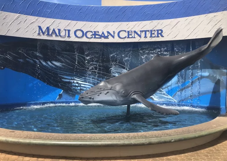 Entrance to Maui Ocean Center with Whale statue - Best Aquariums in the United States