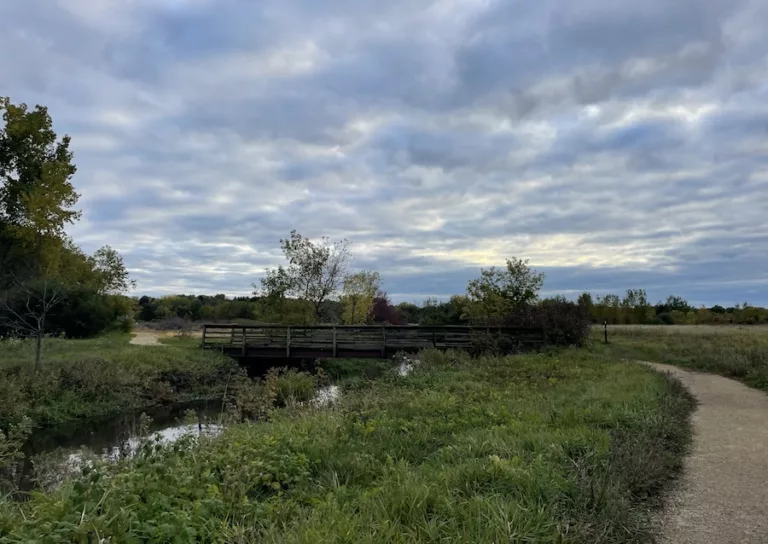 Gravel path surrounded by green foliage and stream with wooden bridge - Things to Do in Madison, WI