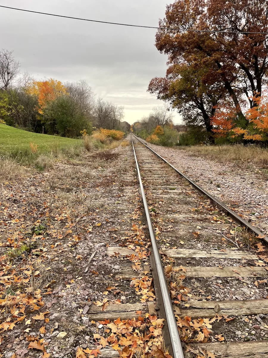 Railroad Crossing covered with fallen leaves - Devil's Staircase Segment - Ice Age Trail 