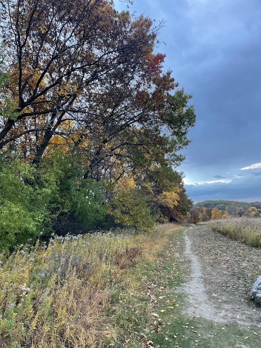 Image of narrow trail with trees on one side and dark blue, cloudy sky 