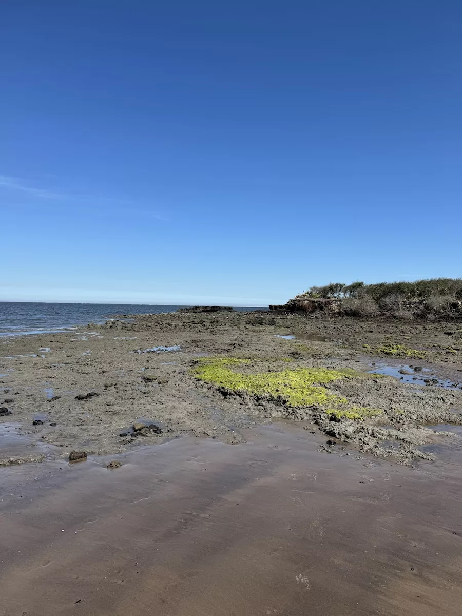 Black Rock Beach in Jacksonville, FL 