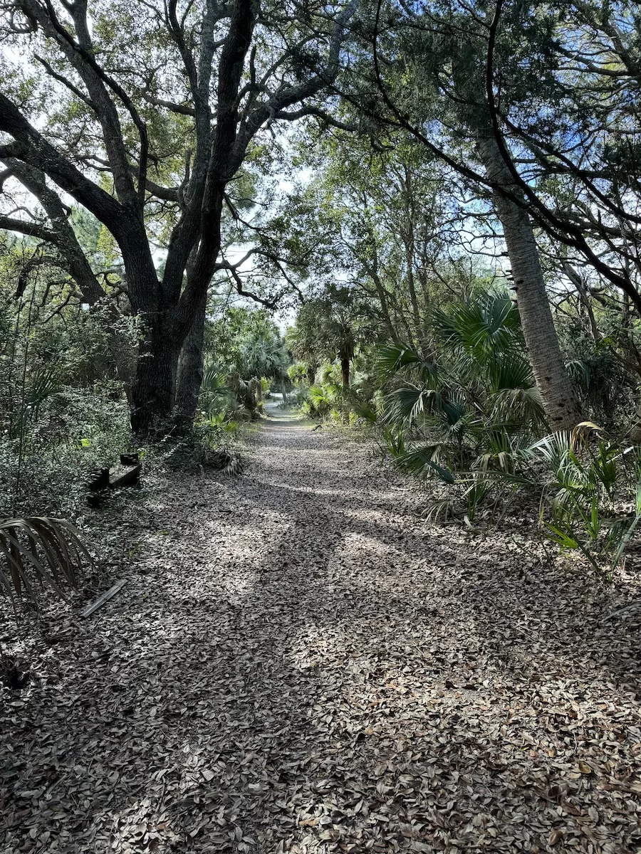 Dunes Ridge Trail loop in Little Talbot Island State Park