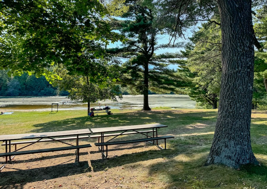 Image of the beach at MIrror Lake State Park with picnic tables and large trees.