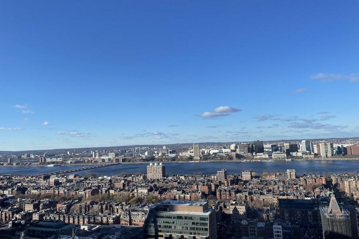 Boston View